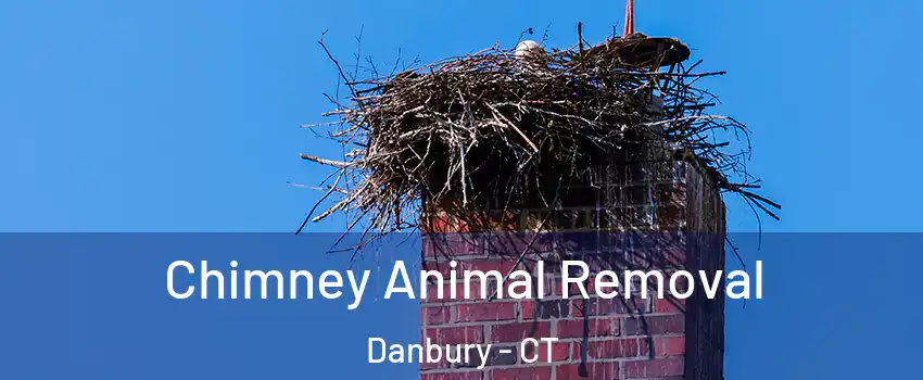  Chimney Animal Removal Danbury - CT
