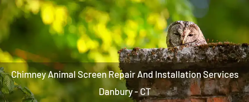  Chimney Animal Screen Repair And Installation Services Danbury - CT