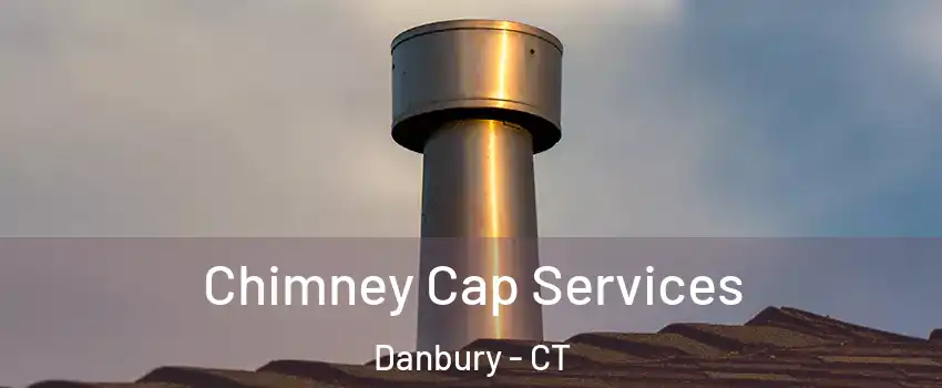  Chimney Cap Services Danbury - CT
