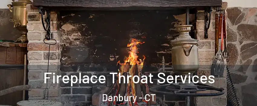  Fireplace Throat Services Danbury - CT