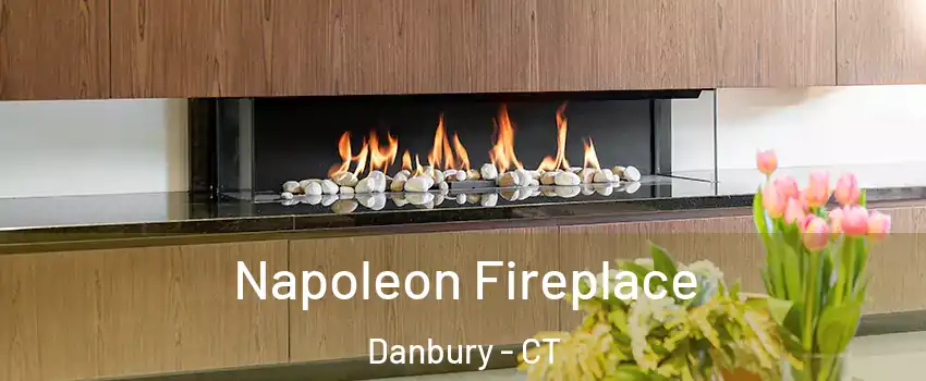  Napoleon Fireplace Danbury - CT
