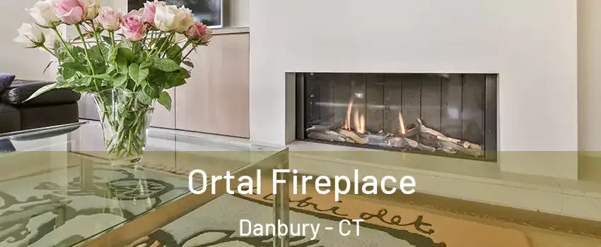  Ortal Fireplace Danbury - CT